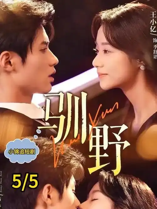 半夜影院微短剧集 赘婿的午夜反击 海报